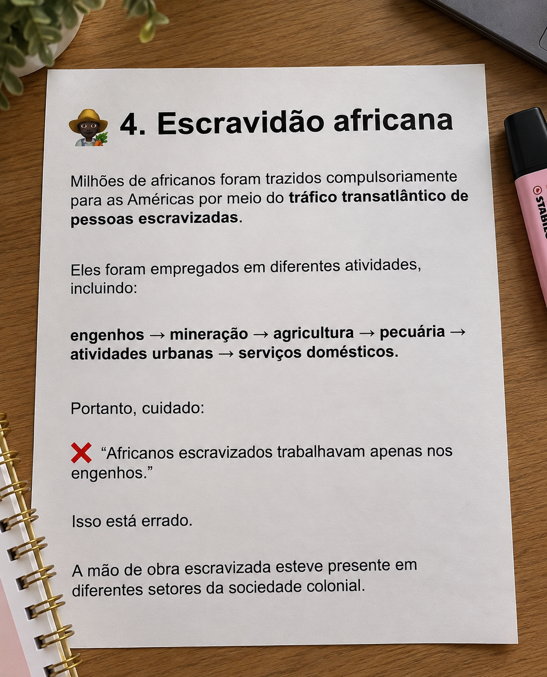 Amostra de conteúdo sobre escravidão africana